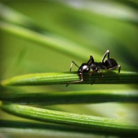 /album/flatakhyapas/photolia-a05-jpg/