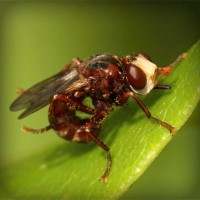 /album/flatakhyapas/photolia-a06-jpg/